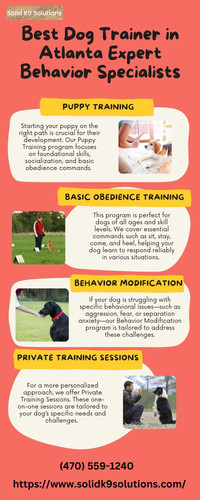 Best Dog Trainer in Atlanta Expert Behavior Specialists.jpg