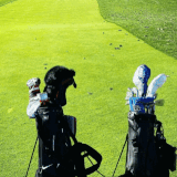 Premium Rental Clubs for Golf in Las Vegas.gif