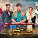 t194 meray humnasheen