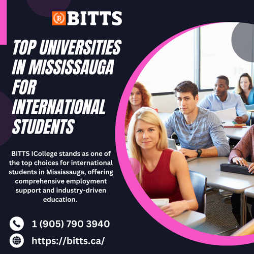 Top Universities in Mississauga for International Students.png