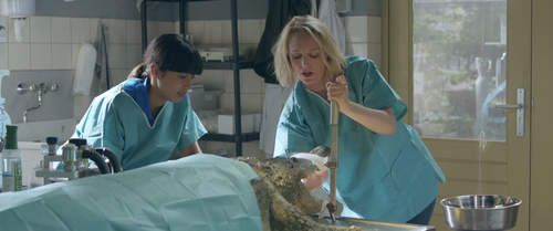 vlcsnap 2024 12 07 19h00m54s193.png