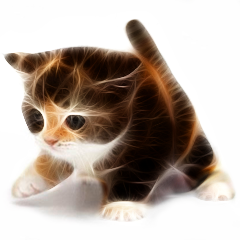 PSNA E622B83A2C244294F54A95A46024B65E1806DDFD.png