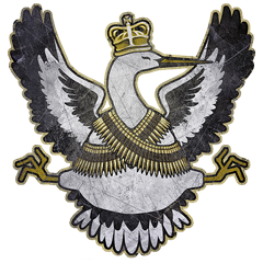 PSNA FF34AE9A428A78DB5AF59FFD049B3DE79DA7BF95.png