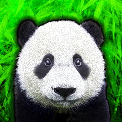 PSNA F55BC5343137AE555721F2D898B0767CC7A5A30D.png