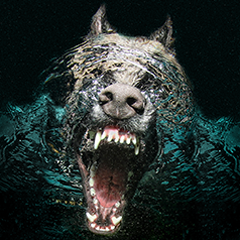 PSNA EAD541E5E3202F1BAE030CF1C1DC5167DCF1B8DC.png