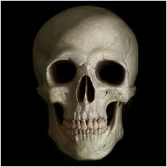 PSNA F6E43996238684BE6539DEF815AF5573CAD8CFBC.png