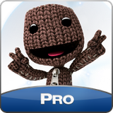 PSNA F49668237DFCDD151461AD3D82F7F89B353F38E2