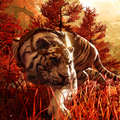 PSNA F7967270777462E5BB3FCAE782D30999C9AF744C.png