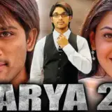 hm126 arya 2 card