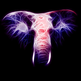 PSNA 04AC35617124B6038C9A00CF492C6A4EA8A0993B