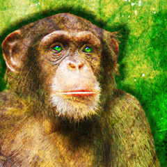 PSNA 1A0DC88775B1A6E48C452DAA9F9AF50382BFDB8A.png