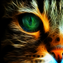 PSNA 1A2DD029235DA7EC9A67AE9E1F8B85906A70264D.png