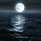 PSNA 4B4F2A8AE8F64662867ED6E00D25AD2AF906CCE2