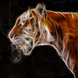 PSNA 4F9879ACCF9A6B40AF6F6A9F1715DA695E638E86