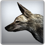 PSNA 1CBB6ED79498C7437C1C0813EC47A904E559E096