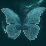 PSNA 1C64A1BA43E706E1C9B58AD9DEBFFFD72E9E70EF