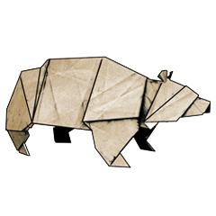 PSNA 5A764190C8059E0AB2731C78902FE1D55BE00B13.png