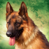 PSNA 2F8E0CD504DC68651F427F4782CAEFE2A9469EAB