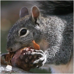 PSNA 3A7BA9E05E01EB3856AD6135B732E35487401148.png