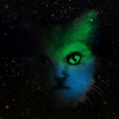 PSNA 6B91A5B03186E3323FBE3E070AA5A35C5250214D.png