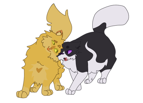 2024 12 06 0mp Kleki