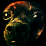 PSNA BD3488A04E0F1B36C93EC4F3279629BD316EB5B9