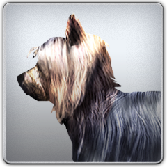 PSNA A8D03305C411E0CE6F6D62BD90E54303512F7CB1.png