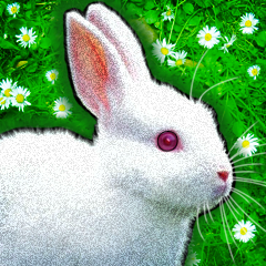 PSNA AE4AE9B7BACE6692B251C899278D18082A7D9A9E.png