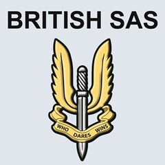 PSNA B161852798D1C1F9A2BE0B0D5684F476256B2EBA.png