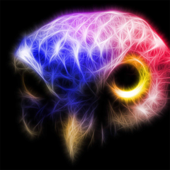 PSNA A91CE7B502CEDA635F9EA077D2C525FAA3919529.png