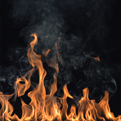 PSNA BE9F6025B2324CBA52F6B2617798C8661005B5CD.png