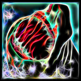 PSNA A595068908D7C517F0092EA6AC8AE36BD96C62E1