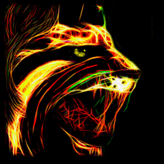 PSNA AFA3181AAEBF21058B25ED4598C389D67FE926CE.png