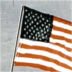 PSNA A2BF820459131B677E775CD118F19796EE7EC3C3.png