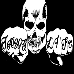 PSNA 52D5E228845CA117D98A68F4F219384E6DD02596.png