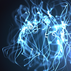 PSNA 8C59287CB61ABFD0A305189243FC4B40E09C4E4F.png