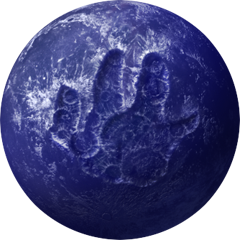 PSNA 8C1FC8814B6E2F02851E37615B0A91ACAF64A3CF.png