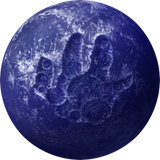 PSNA 8C1FC8814B6E2F02851E37615B0A91ACAF64A3CF