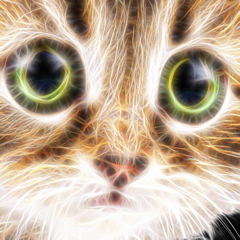 PSNA 7F42486C37E63490A151DF61A692B4F48C33CCA2.png