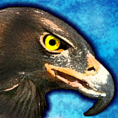 PSNA 43E33365544B67C9BAF9651AACB1CE36CDC3CF29.png