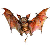 PSNA 80D84ADA9443C4A850C70AA2A62AD9DD97EF8C8C