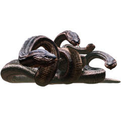 PSNA 82AEFB89520B7B1C23D693A1C12D335993488C3B.png