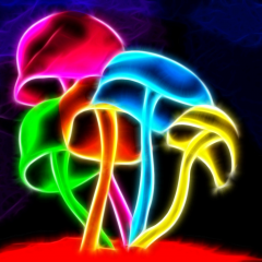 PSNA 45D766D7F46525E14BCE7A12883AA1EF5DF199A0.png