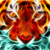 PSNA 47FD0F8262B417E4A7309BF478BB09AFF3E2EF66