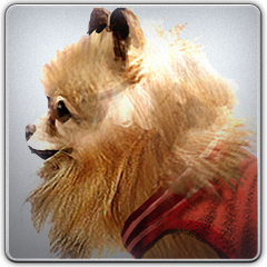 PSNA 85C1F29CDE4E89647EEB3539940F2B8B81528910.png