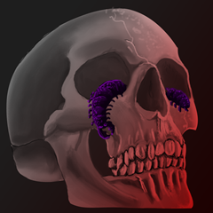 PSNA 88A4E92A6943C53F4C573643F78C69410A5BFDE5.png