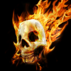 PSNA 50CF2E89DD10C8EED980A83AD15C5A53612E81E4.png