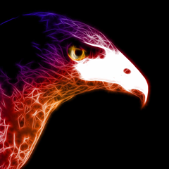 PSNA 66C379AE66C421B3C9D086F2699F0CD3A814953F.png