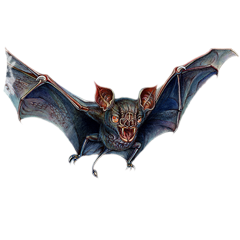 PSNA 33A0F0806219A90EF68F2E8BE704885525BE403C.png