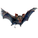 PSNA 33A0F0806219A90EF68F2E8BE704885525BE403C